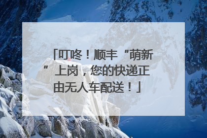 叮咚！顺丰“萌新”上岗，您的快递正由无人车配送！