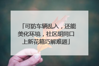 可防车辆乱入，还能美化环境，社区胡同口上新花箱巧解难题