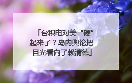 台积电对美“硬”起来了？岛内舆论把目光看向了赖清德