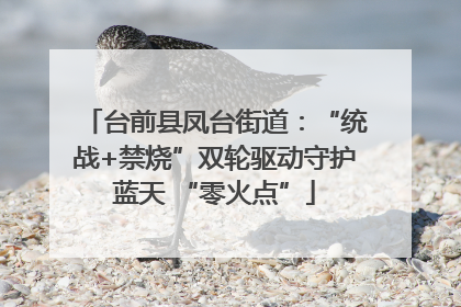 台前县凤台街道：“统战+禁烧”双轮驱动守护蓝天 “零火点”