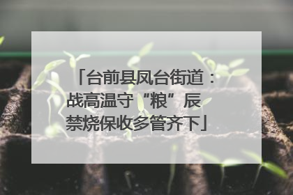 台前县凤台街道：战高温守“粮”辰 禁烧保收多管齐下