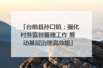 台前县孙口镇：强化村务监督管理工作 推动基层治理高效能