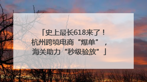 史上最长618来了！杭州跨境电商“爆单”，海关助力“秒级验放”