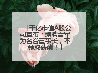 千亿市值A股公司宣布：续聘雷军为名誉董事长，不领取薪酬！