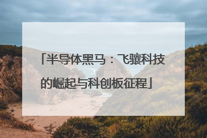 半导体黑马：飞骧科技的崛起与科创板征程