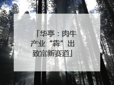 华亭：肉牛产业“犇”出致富新赛道