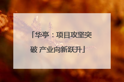 华亭：项目攻坚突破 产业向新跃升