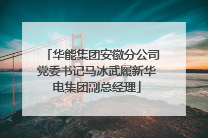 华能集团安徽分公司党委书记马冰武履新华电集团副总经理
