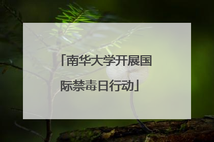 南华大学开展国际禁毒日行动