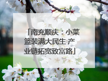 南充顺庆：小菜篮装满大民生 产业链拓宽致富路