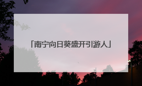 南宁向日葵盛开引游人