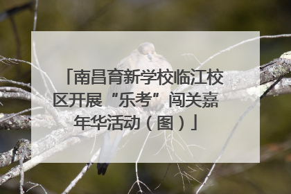 南昌育新学校临江校区开展“乐考”闯关嘉年华活动（图）