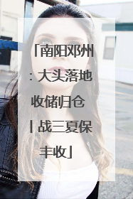 南阳邓州：大头落地 收储归仓丨战三夏保丰收