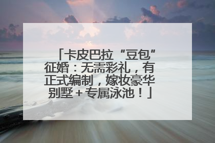 卡皮巴拉“豆包”征婚：无需彩礼，有正式编制，嫁妆豪华别墅＋专属泳池！