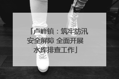 卢峰镇：筑牢防汛安全屏障 全面开展水库排查工作