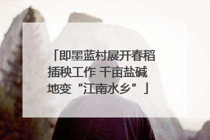 即墨蓝村展开春稻插秧工作 千亩盐碱地变“江南水乡”