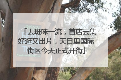 去班味一流，首店云集好逛又出片，天目里国际街区今天正式开街