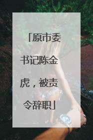 原市委书记陈金虎，被责令辞职