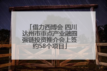 借力西博会 四川达州市重点产业融圈强链投资推介会上签约58个项目
