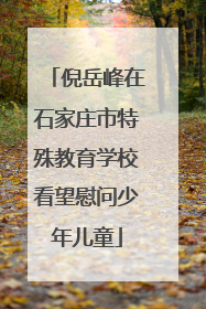 倪岳峰在石家庄市特殊教育学校看望慰问少年儿童