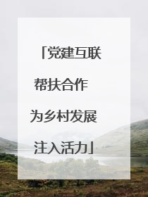 党建互联帮扶合作 为乡村发展注入活力