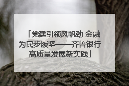 党建引领风帆劲 金融为民步履坚——齐鲁银行高质量发展新实践