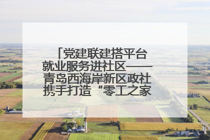 党建联建搭平台 就业服务进社区——青岛西海岸新区政社携手打造“零工之家”就业服务新阵地