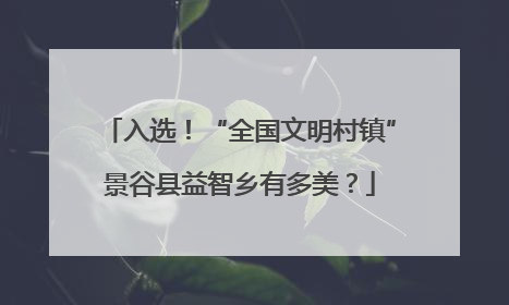 入选！“全国文明村镇”景谷县益智乡有多美？