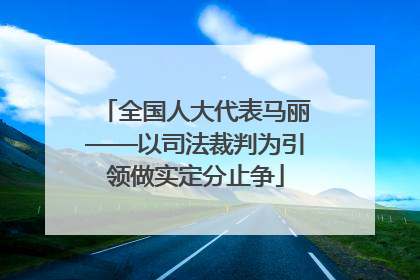 全国人大代表马丽——以司法裁判为引领做实定分止争