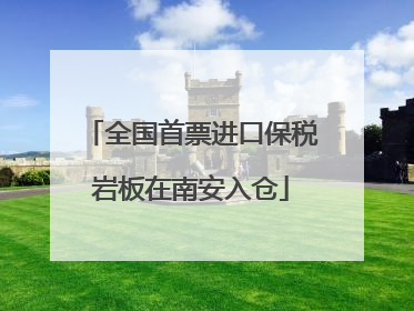 全国首票进口保税岩板在南安入仓