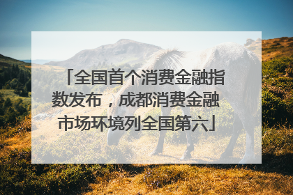 全国首个消费金融指数发布，成都消费金融市场环境列全国第六