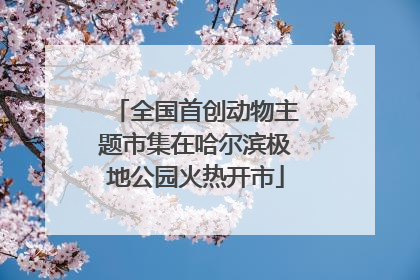 全国首创动物主题市集在哈尔滨极地公园火热开市