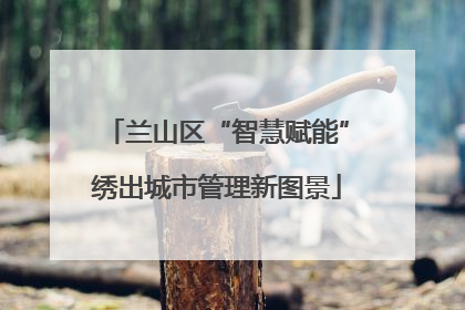 兰山区“智慧赋能”绣出城市管理新图景