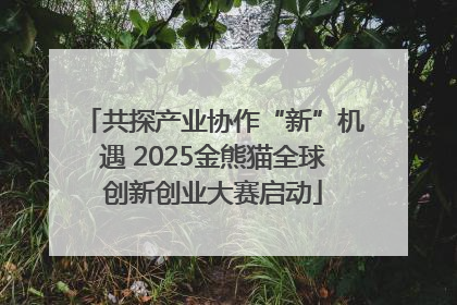 共探产业协作“新”机遇 2025金熊猫全球创新创业大赛启动