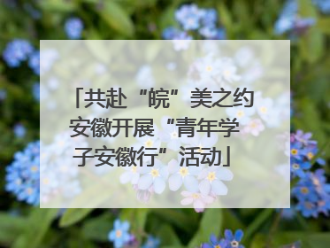 共赴“皖”美之约 安徽开展“青年学子安徽行”活动