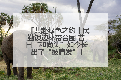 共赴绿色之约丨民勤锁边林带合围 昔日“和尚头”如今长出了“披肩发”