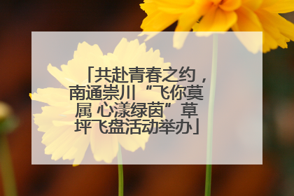 共赴青春之约，南通崇川“飞你莫属 心漾绿茵”草坪飞盘活动举办