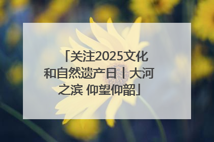 关注2025文化和自然遗产日丨大河之滨 仰望仰韶