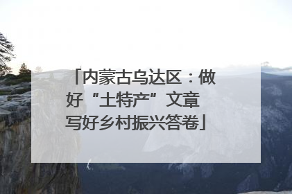 内蒙古乌达区：做好“土特产”文章 写好乡村振兴答卷