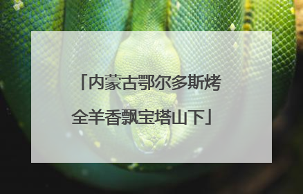 内蒙古鄂尔多斯烤全羊香飘宝塔山下