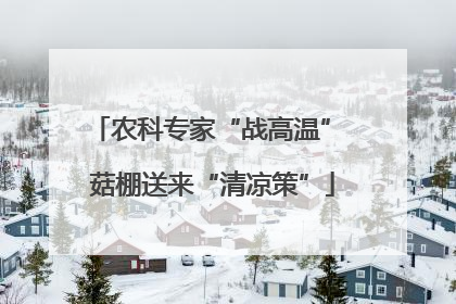 农科专家“战高温” 菇棚送来“清凉策”