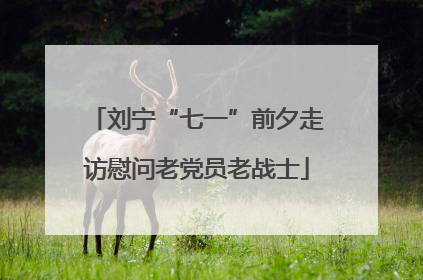 刘宁“七一”前夕走访慰问老党员老战士