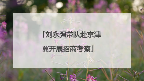 刘永强带队赴京津冀开展招商考察