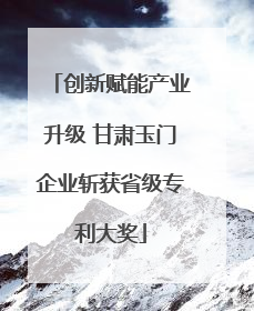 创新赋能产业升级 甘肃玉门企业斩获省级专利大奖