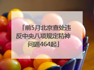 前5月北京查处违反中央八项规定精神问题464起