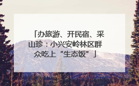 办旅游、开民宿、采山珍：小兴安岭林区群众吃上“生态饭”