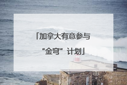 加拿大有意参与“金穹”计划