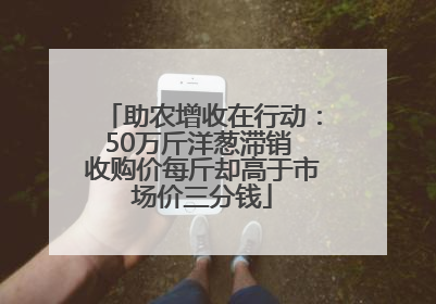 助农增收在行动：50万斤洋葱滞销 收购价每斤却高于市场价三分钱