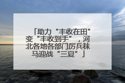 助力“丰收在田”变“丰收到手”，河北各地各部门厉兵秣马迎战“三夏”