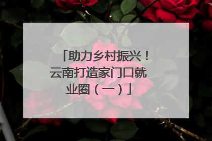 助力乡村振兴！云南打造家门口就业圈（一）